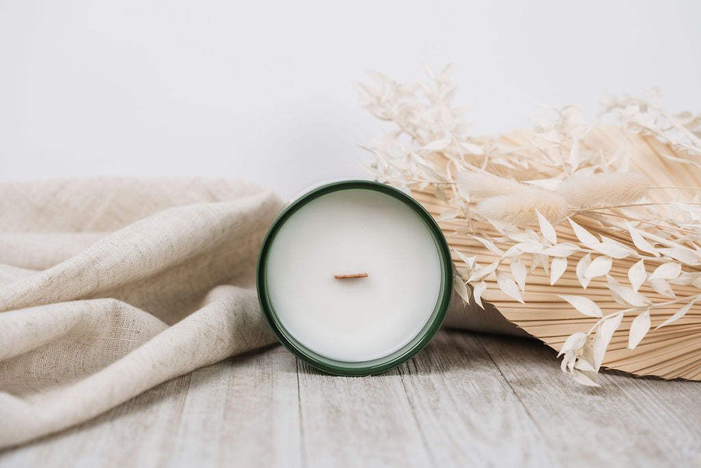 Winter Fir + Snowlit Pine